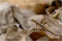 _dsc2904 1920